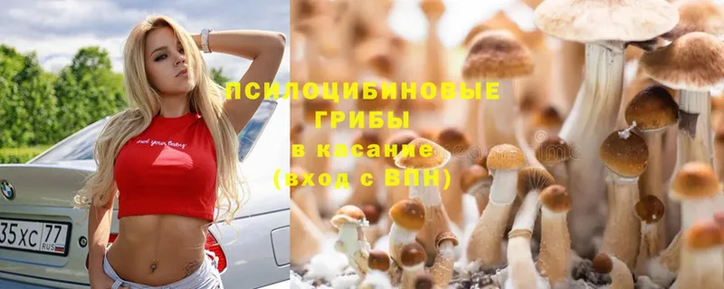 Псилоцибиновые грибы Psilocybine cubensis  darknet телеграм  Воронеж 